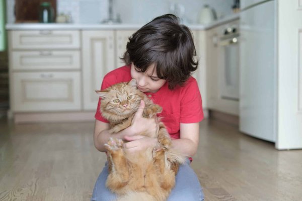 Quel vermifuge pour chat choisir : guide complet